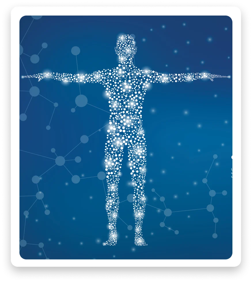 Somatic Reboot - Rethinking the Bodys Command Center