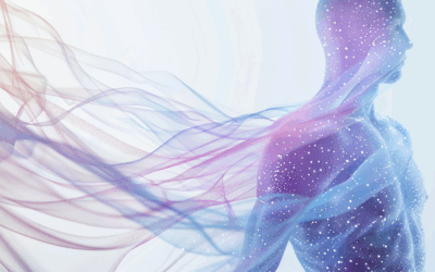 How Fascia Drives Metabolism: The Hidden System Behind Fatigue, Cravings & Weight Gain